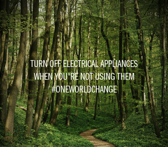 One world Change save electric
